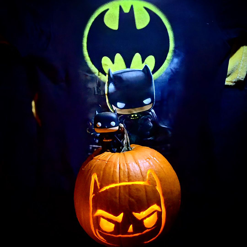 Funko HQ Bag Lady's winning pumpkin: Batman, carved, with Bat Signal in the background and a Batman Pop!